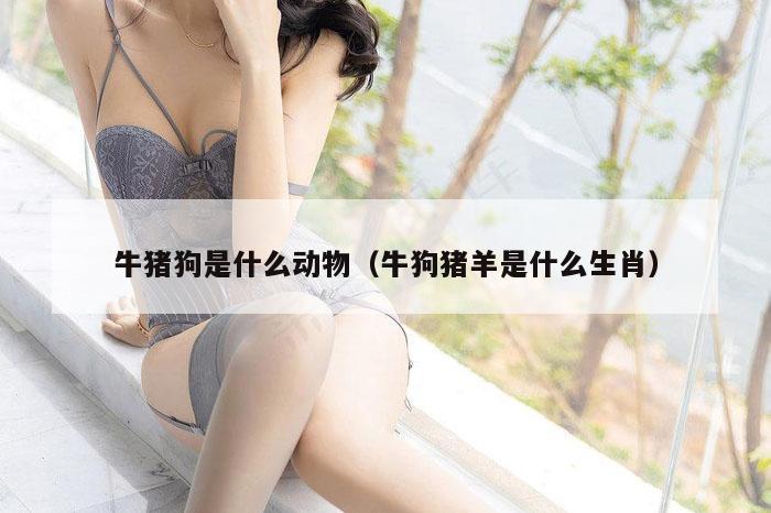 牛猪狗是什么动物（牛狗猪羊是什么生肖）